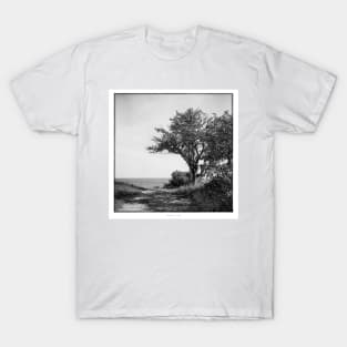 Beach view  towards the Baltic Sea. T-Shirt